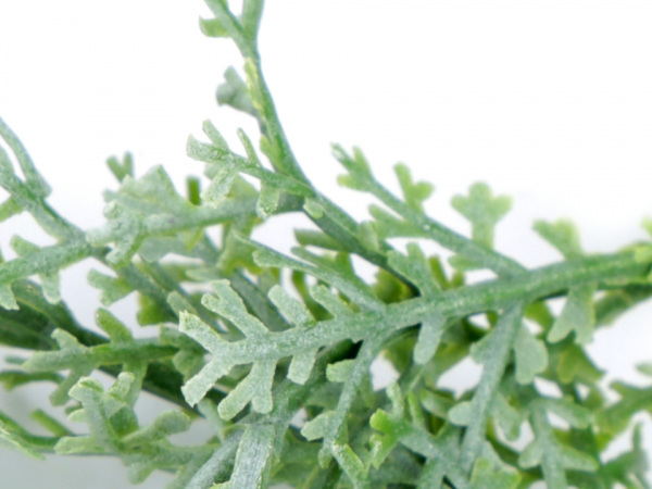 Umělá větvička lišejníku