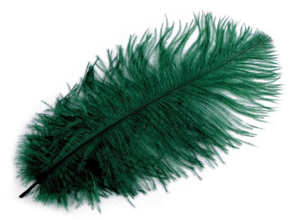 Pštrosí peří délka cca 20-25 cm